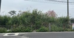 5萬 龍潭區 龍潭民生路一般農