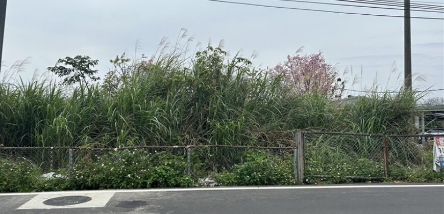 5萬 龍潭區 龍潭民生路一般農