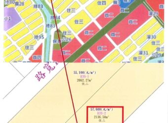 40萬 大園區 大海安置戶