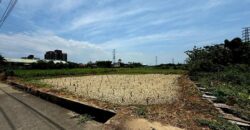 1.29萬 觀音區 觀音大堀農保美田