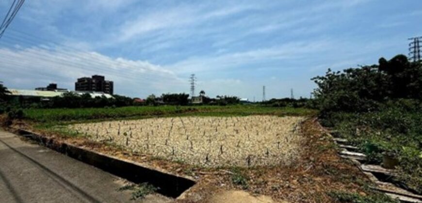 1.29萬 觀音區 觀音大堀農保美田