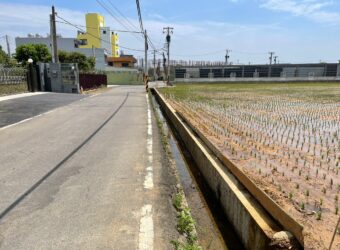 6.8萬 大園大埔一般農地