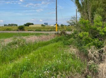 3.3萬 山東山上段農地