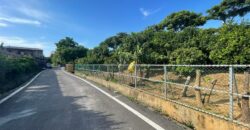 4萬 觀音 大湖路休閒農場/透天厝