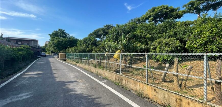 4萬 觀音 大湖路休閒農場/透天厝