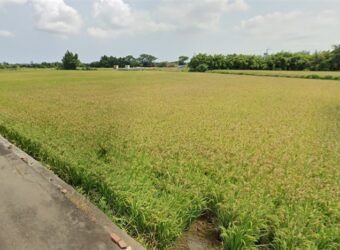3.28萬 大園區 聖德近高鐵美農田