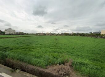 2.48萬 觀音區 月桃路旁農保田 III