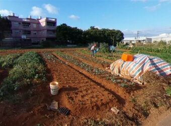 10.8萬 中壢區 大江旁都計內農地