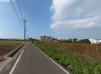 9萬 大園區 大園一般農