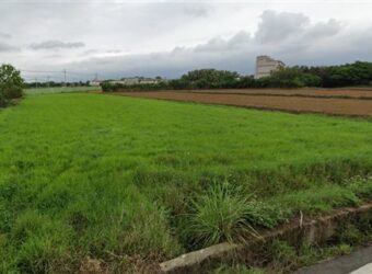 3.58萬 觀音區 月桃路二段正路邊美農地