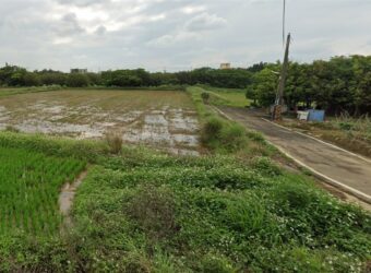 1.38萬 觀音區 觀音育仁段便宜美田